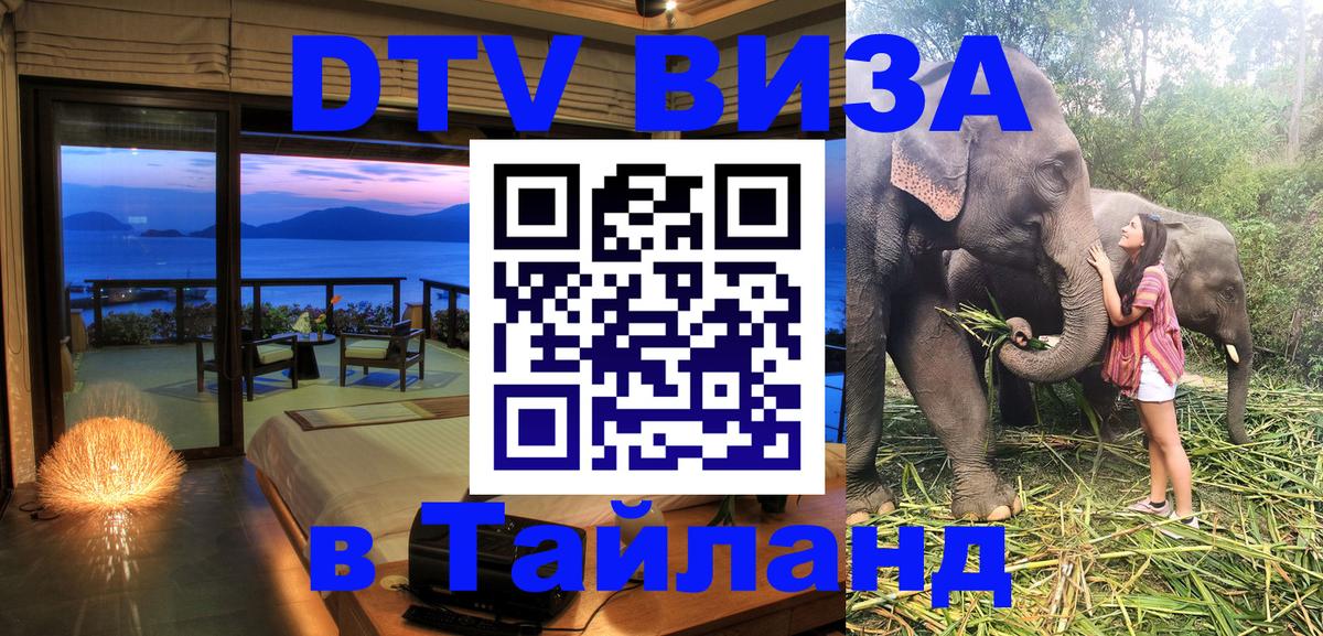 Сколько стоит DTV виза — актуальные цены, оформление даже без документов - 20.11.2025 